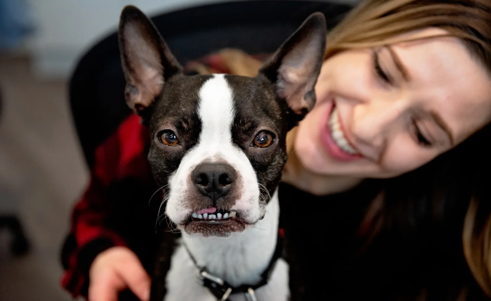 Black and white dog smiling with a staff member